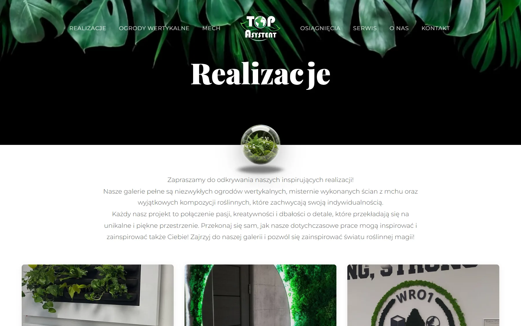 Top Asystent Zieleń — realizacje na desktopie